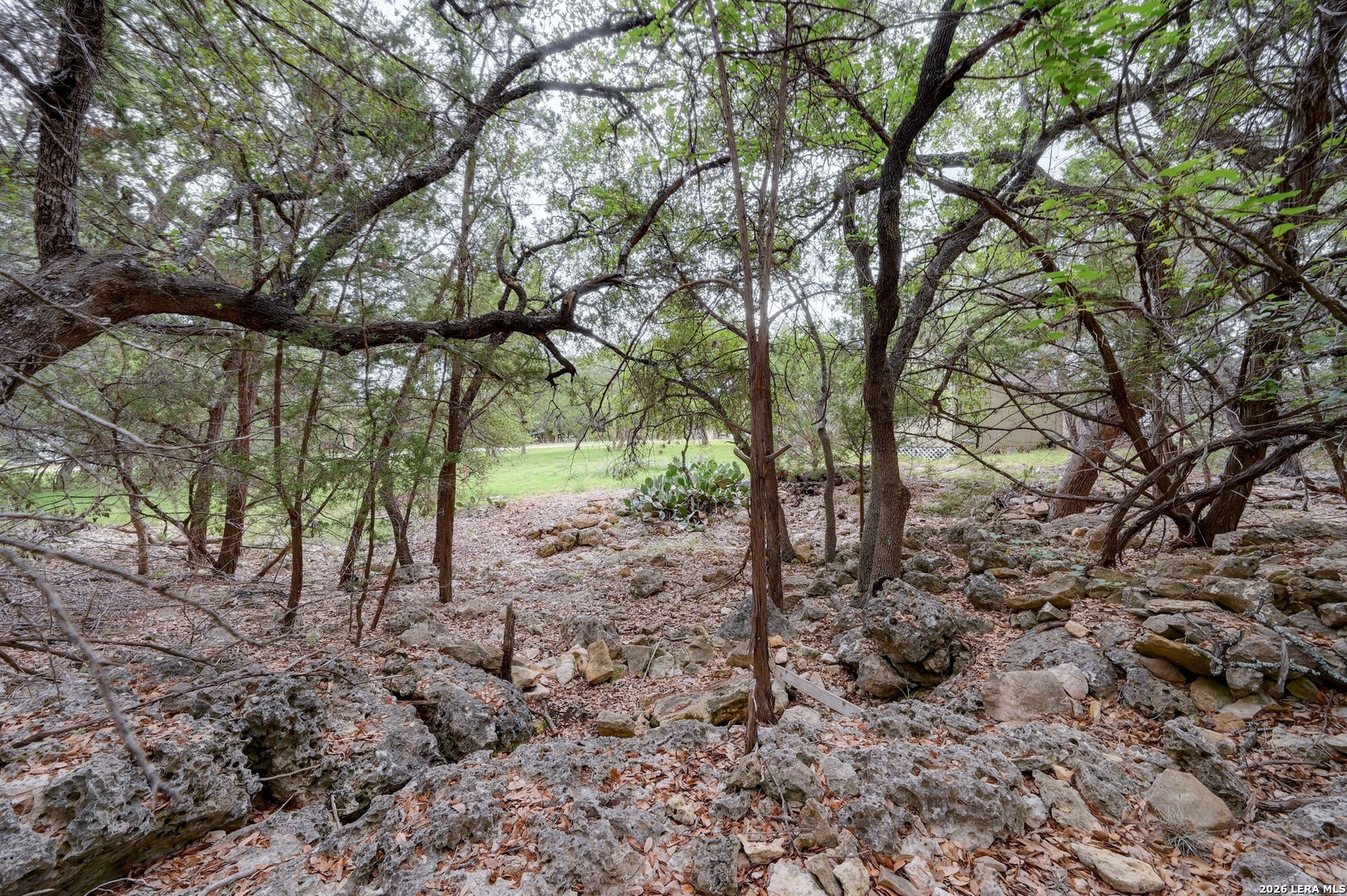 Lot 39 Moss Rose Bandera TX 78003
