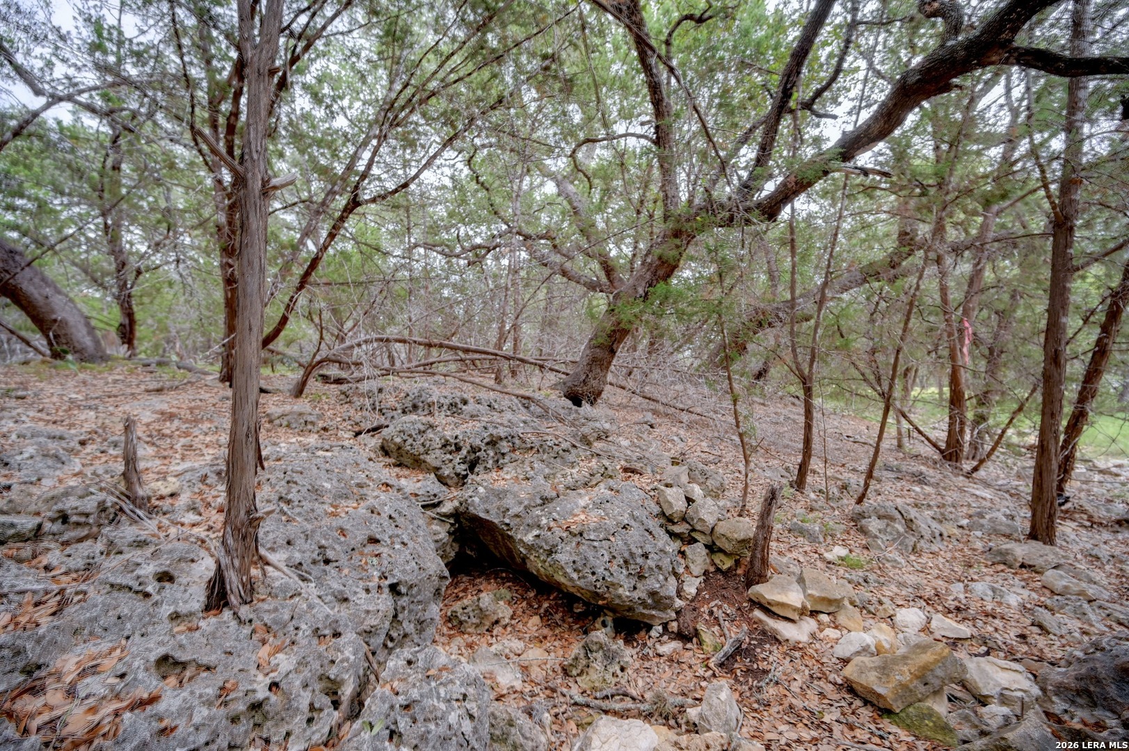 Lot 39 Moss Rose Bandera TX 78003