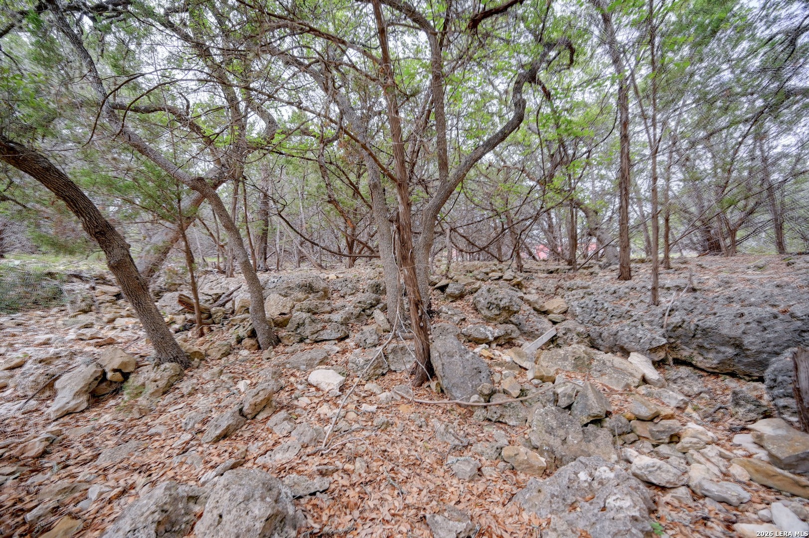 Lot 39 Moss Rose Bandera TX 78003