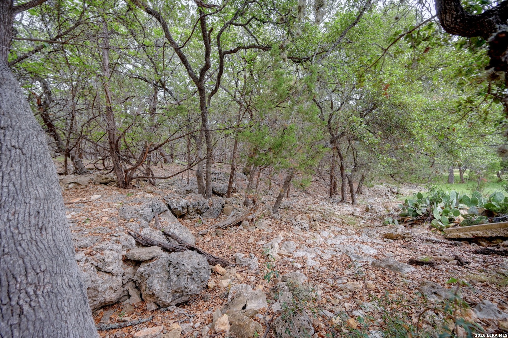 Lot 39 Moss Rose Bandera TX 78003