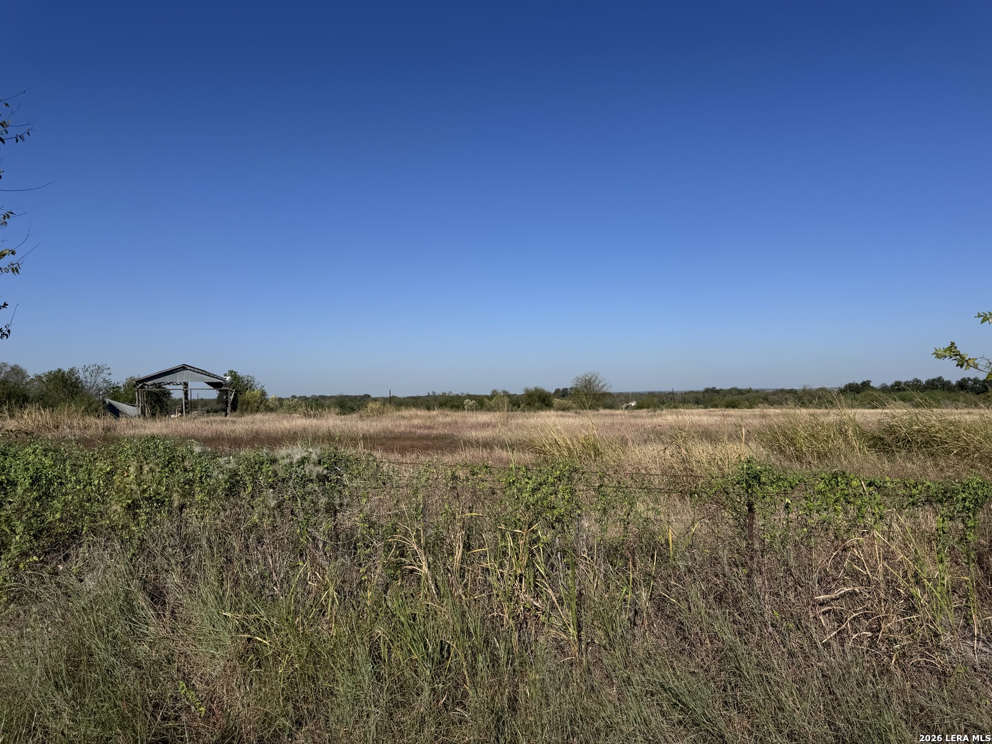 10019-10017 Hackelberg Road Atascosa TX 78002