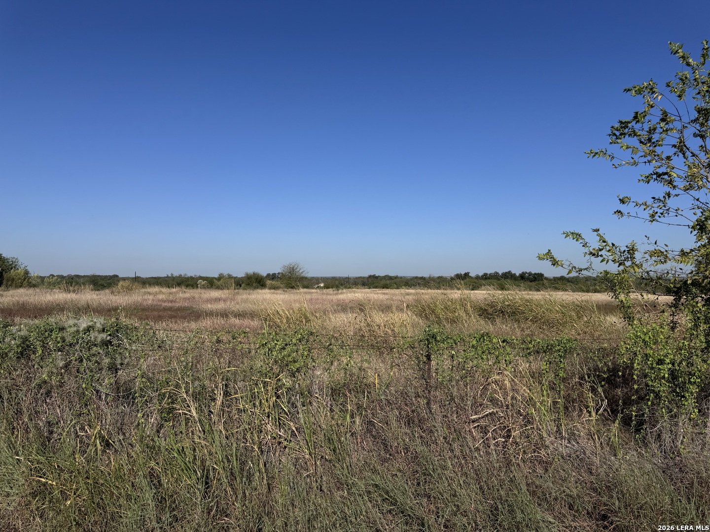 10019-10017 Hackelberg Road Atascosa TX 78002