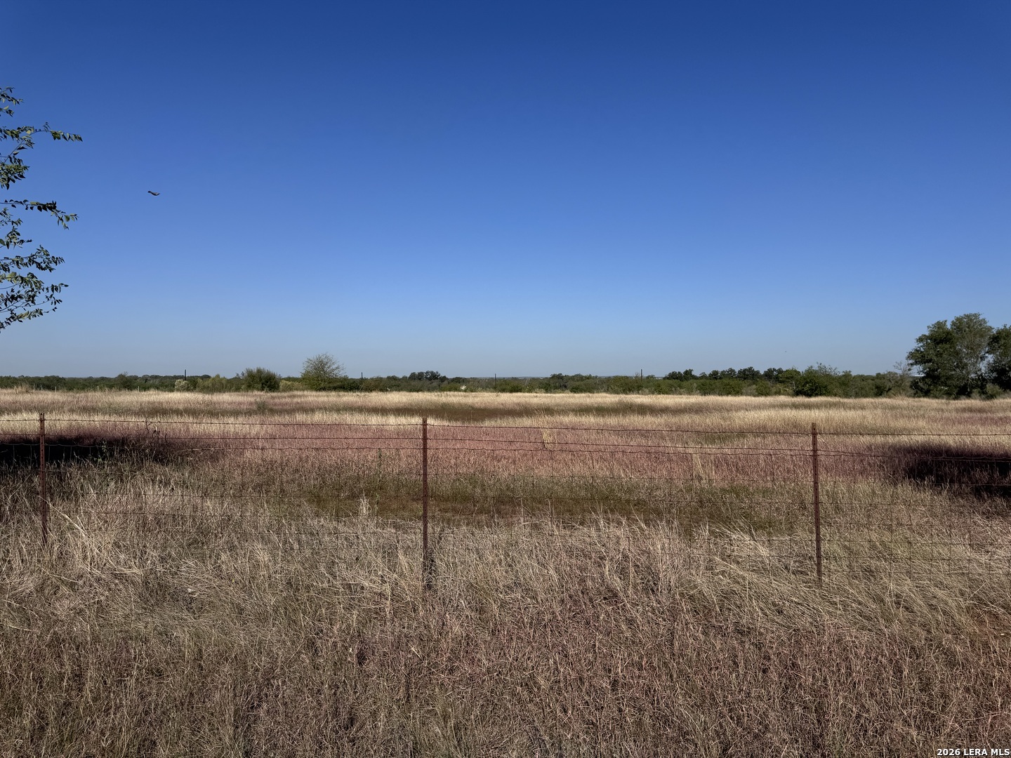 10019-10017 Hackelberg Road Atascosa TX 78002