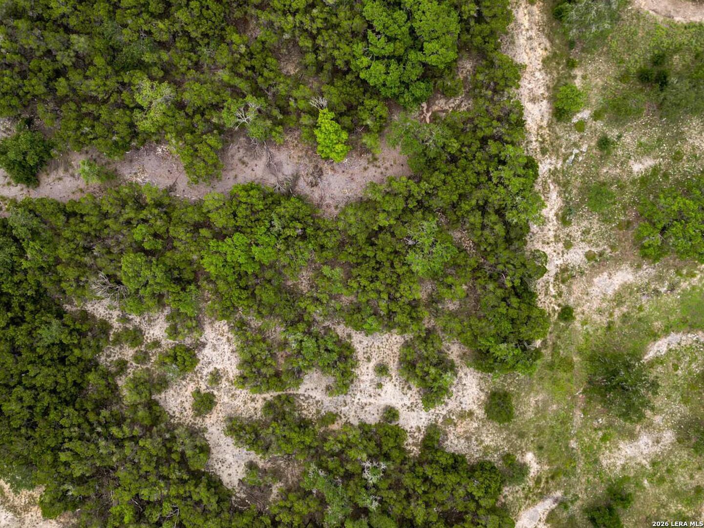 22406 White Doe Pass San Antonio TX 78255