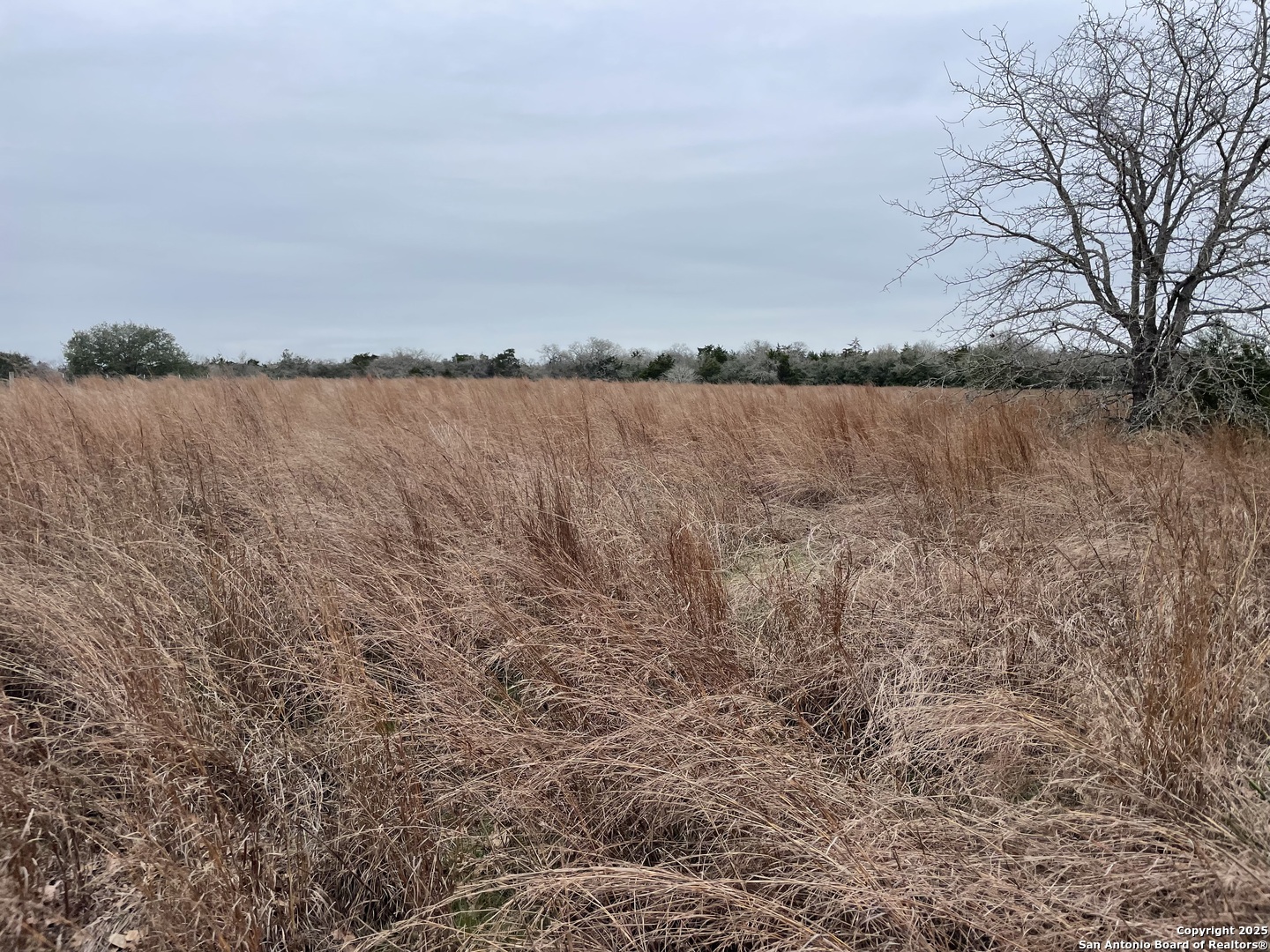 00 Mule Creek Road Harwood TX 78632