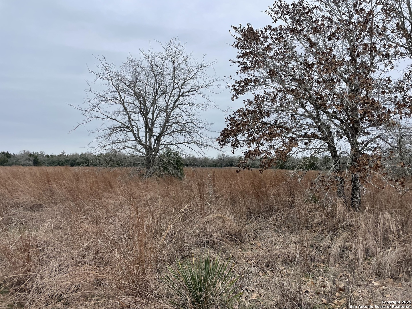 00 Mule Creek Road Harwood TX 78632