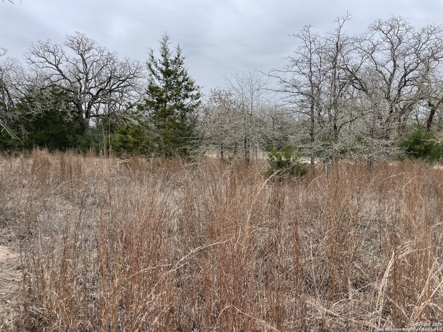 00 Mule Creek Road Harwood TX 78632