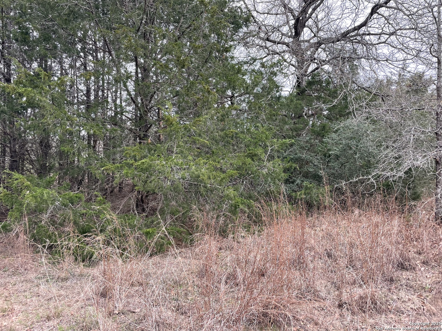 00 Mule Creek Road Harwood TX 78632