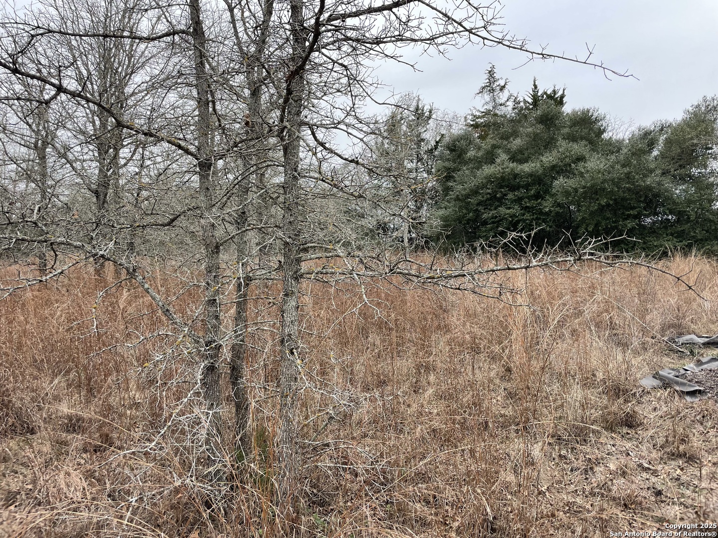 00 Mule Creek Road Harwood TX 78632