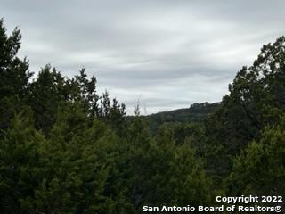 295 Delanoy Drive Canyon Lake TX 78133