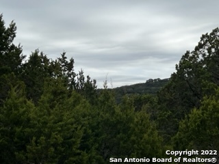 295 Delanoy Drive Canyon Lake TX 78133