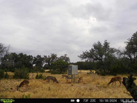 09 Broken Arrow Road Harper TX 78631