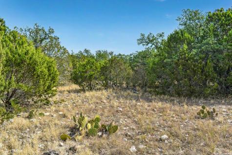 09 Broken Arrow Road Harper TX 78631