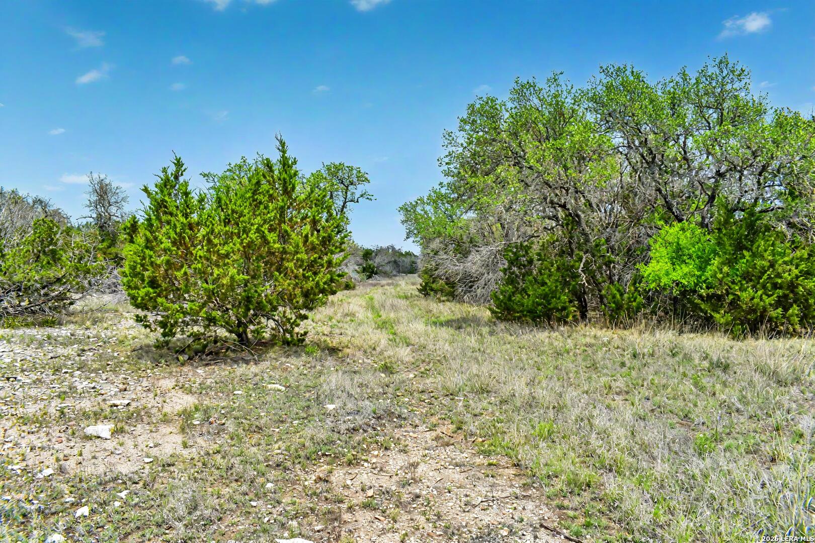 09 Broken Arrow Road Harper TX 78631