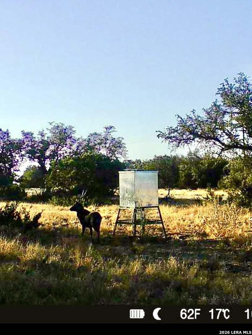 09 Broken Arrow Road Harper TX 78631