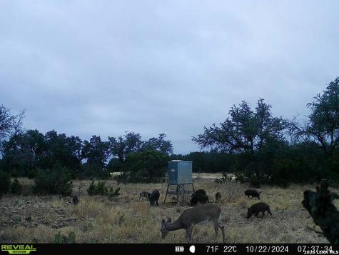 09 Broken Arrow Road Harper TX 78631