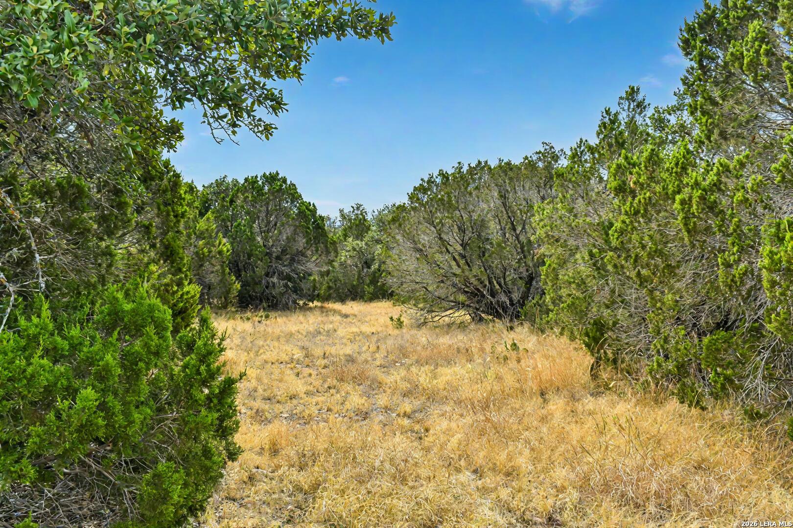 09 Broken Arrow Road Harper TX 78631