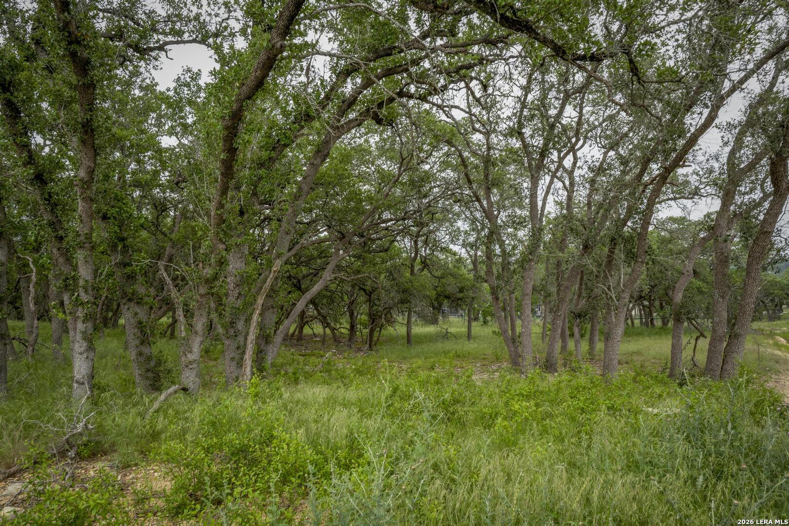 34780 High Gate Road Bulverde TX 78163