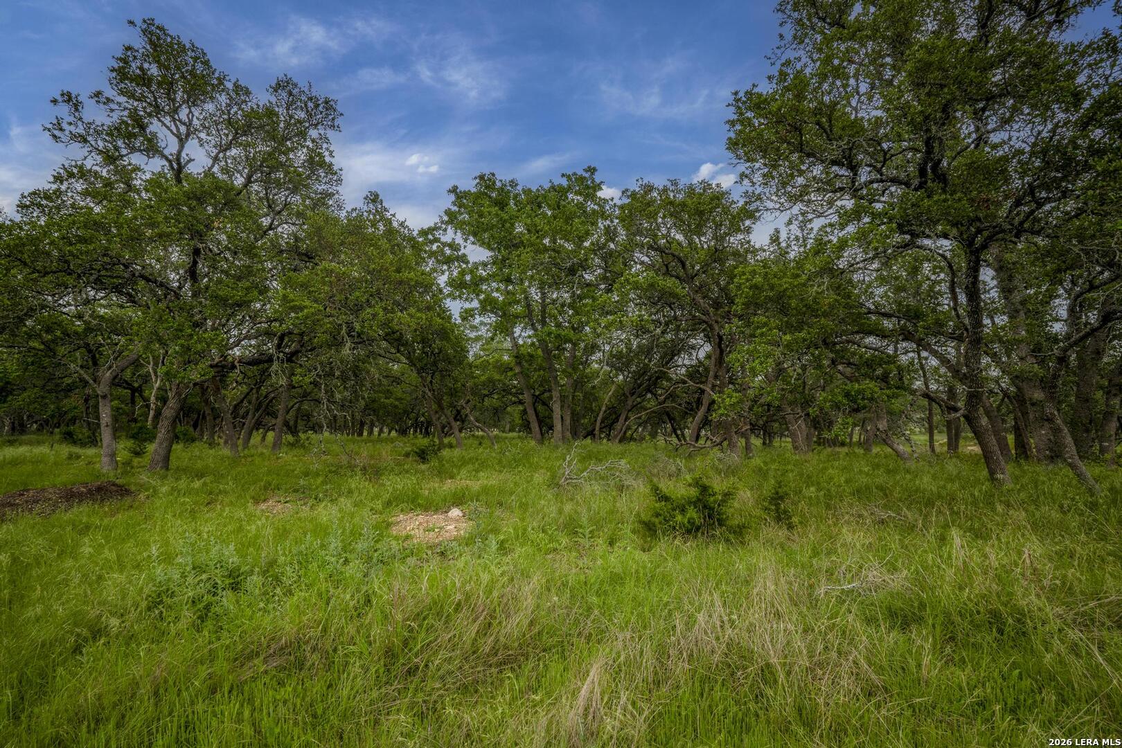 34780 High Gate Road Bulverde TX 78163