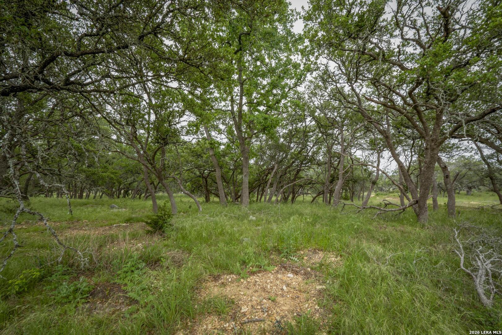 34780 High Gate Road Bulverde TX 78163
