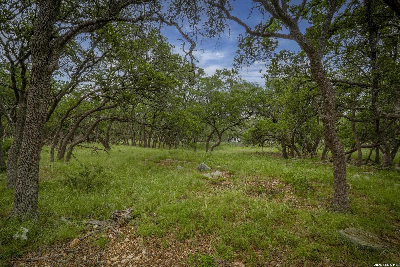34780 High Gate Road Bulverde TX 78163