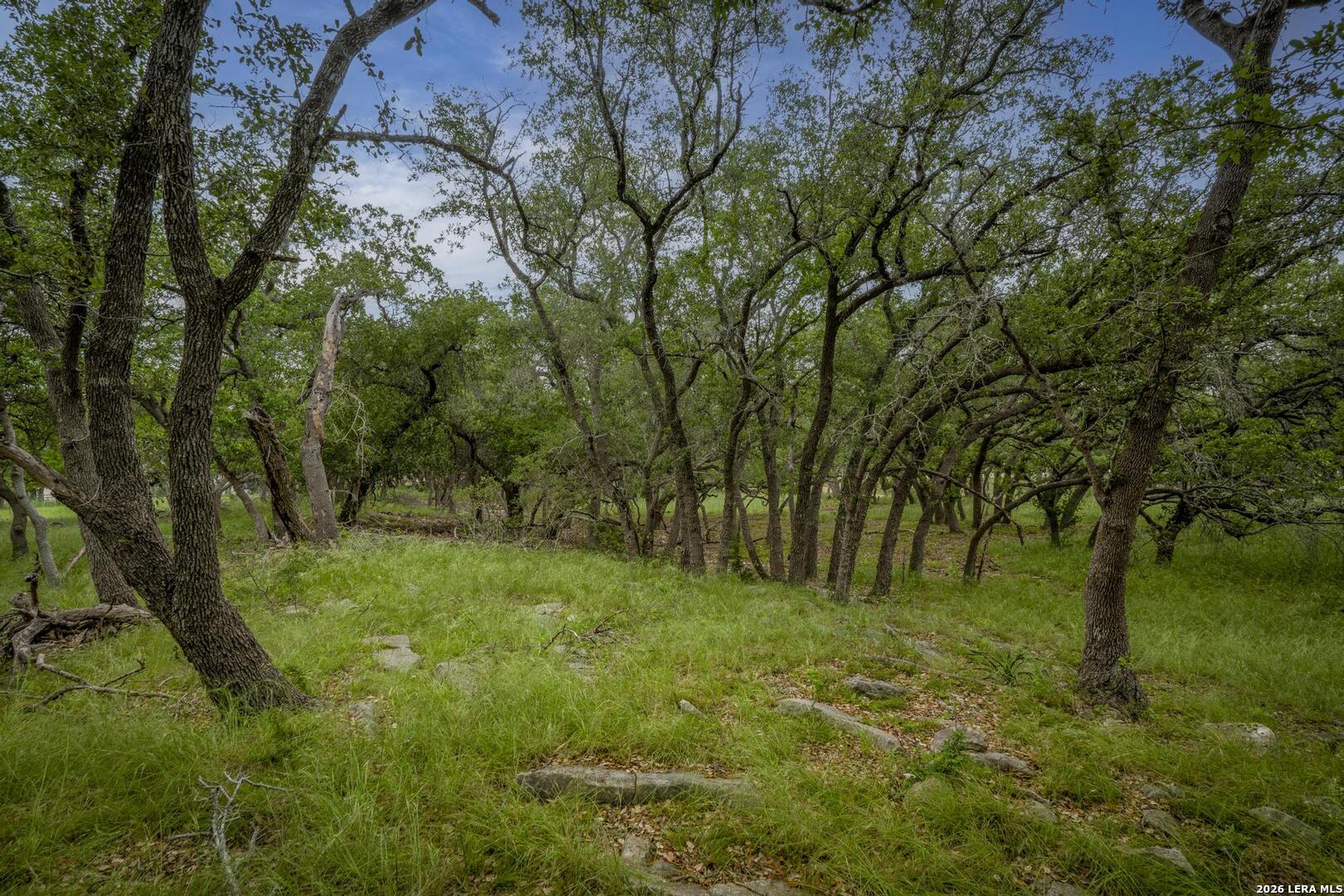 34780 High Gate Road Bulverde TX 78163