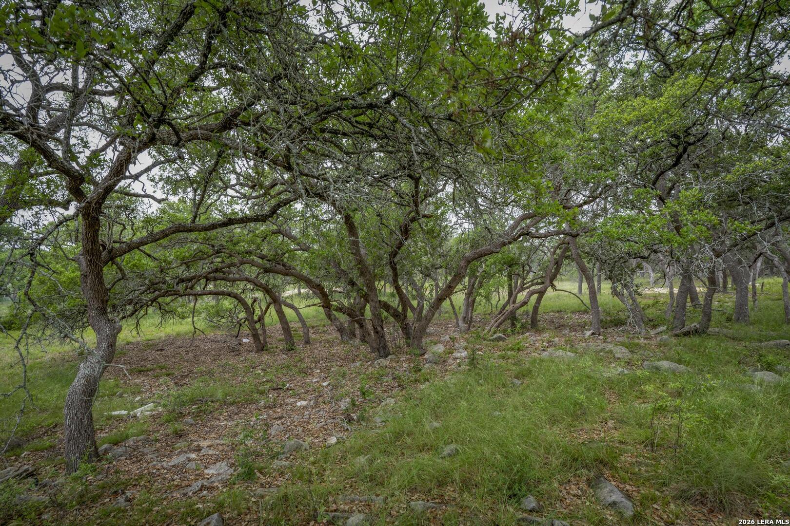 34780 High Gate Road Bulverde TX 78163