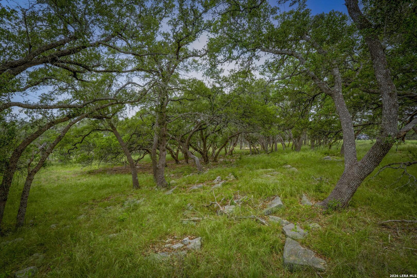 34780 High Gate Road Bulverde TX 78163