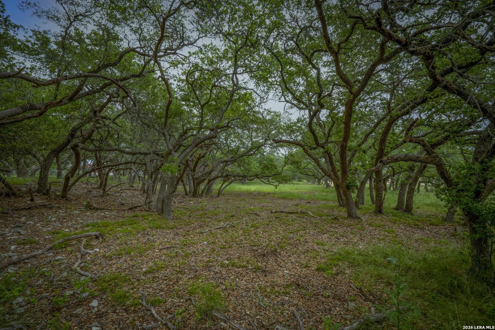 34780 High Gate Road Bulverde TX 78163