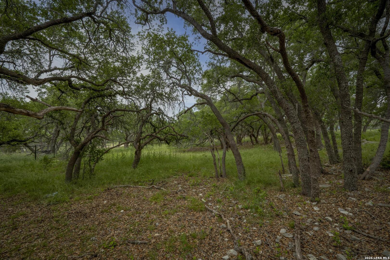 34780 High Gate Road Bulverde TX 78163