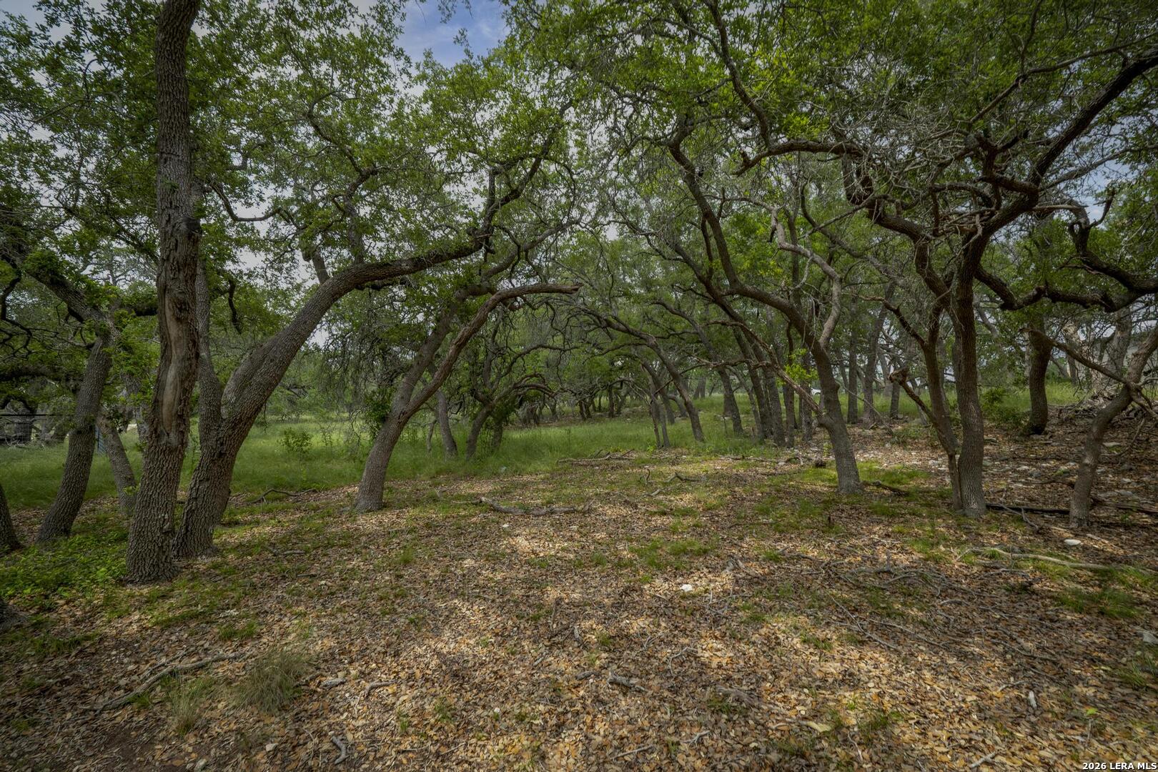 34780 High Gate Road Bulverde TX 78163