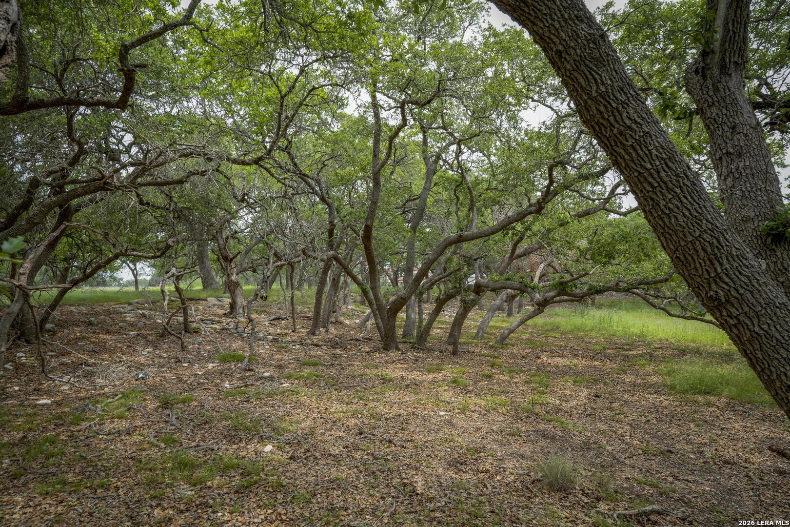 34780 High Gate Road Bulverde TX 78163