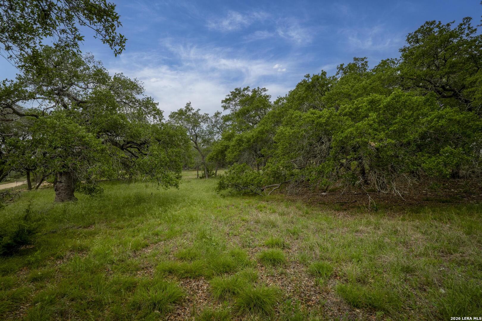 34780 High Gate Road Bulverde TX 78163