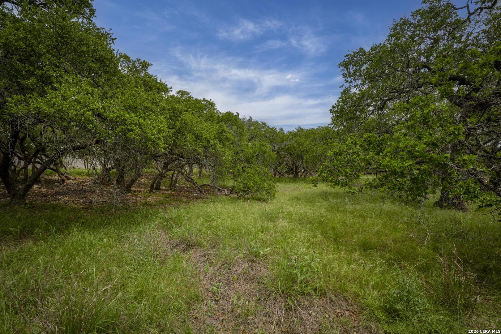 34780 High Gate Road Bulverde TX 78163