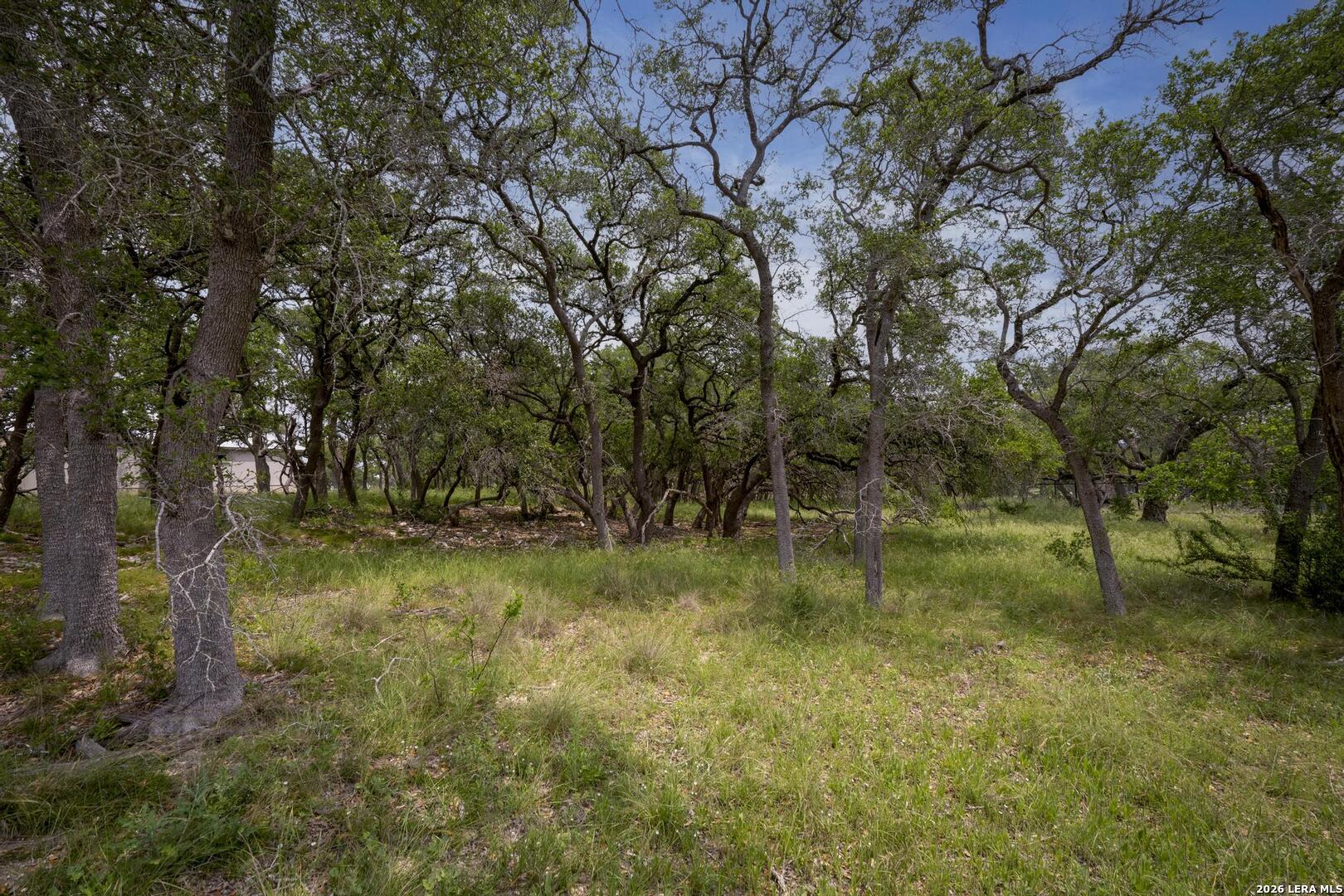 34780 High Gate Road Bulverde TX 78163
