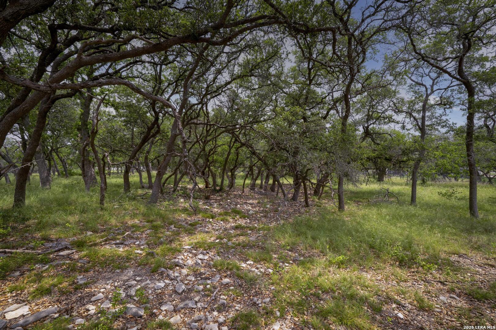 34780 High Gate Road Bulverde TX 78163