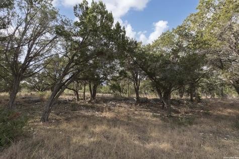 2093 Alto Lago Canyon Lake TX 78133