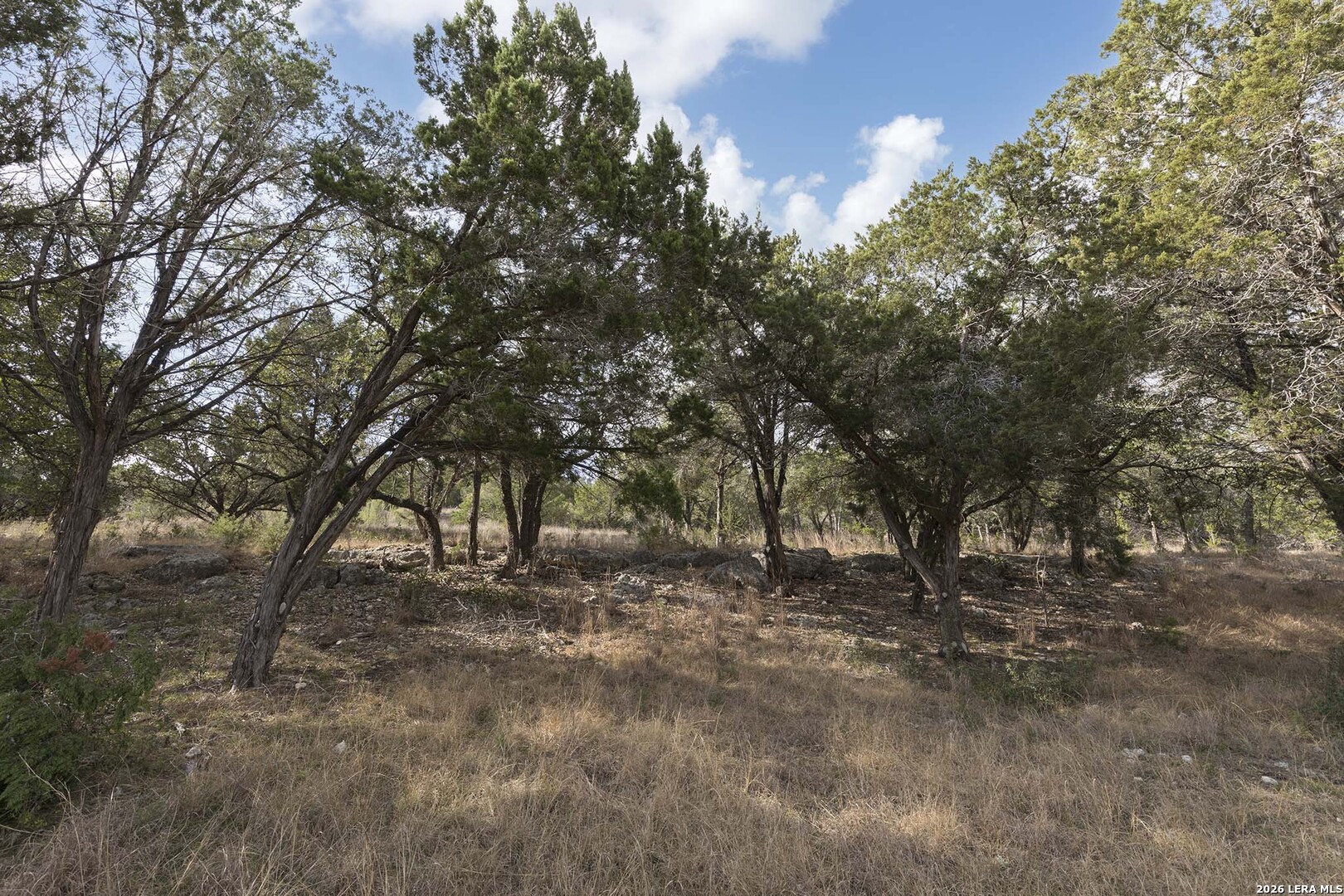 2093 Alto Lago Canyon Lake TX 78133