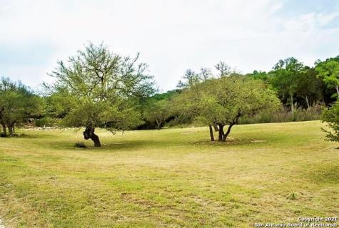 711 Malaga Court Canyon Lake TX 78133