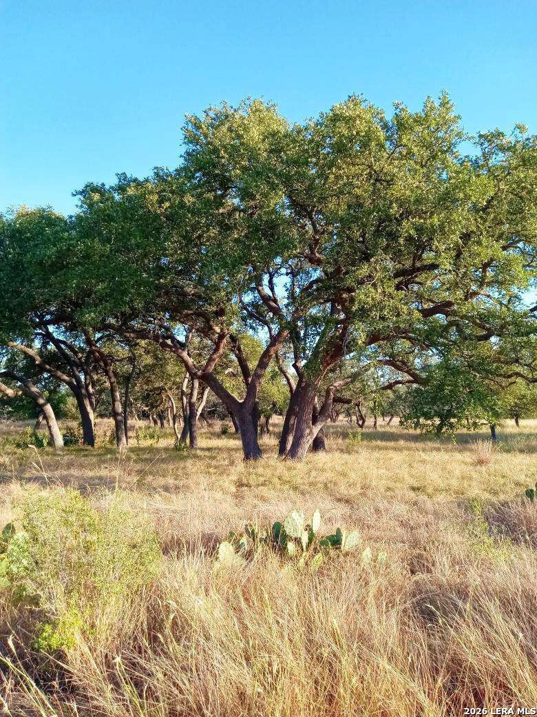 Lot 142 Mulder Drive Center Point TX 78010