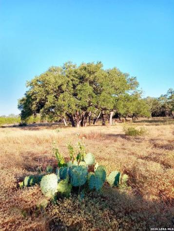 Lot 142 Mulder Drive Center Point TX 78010