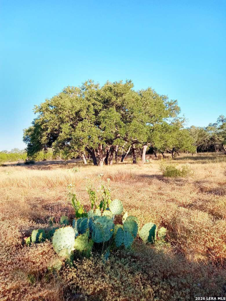 Lot 142 Mulder Drive Center Point TX 78010