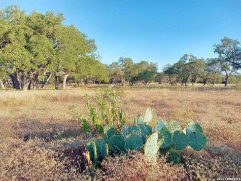 Lot 142 Mulder Drive Center Point TX 78010