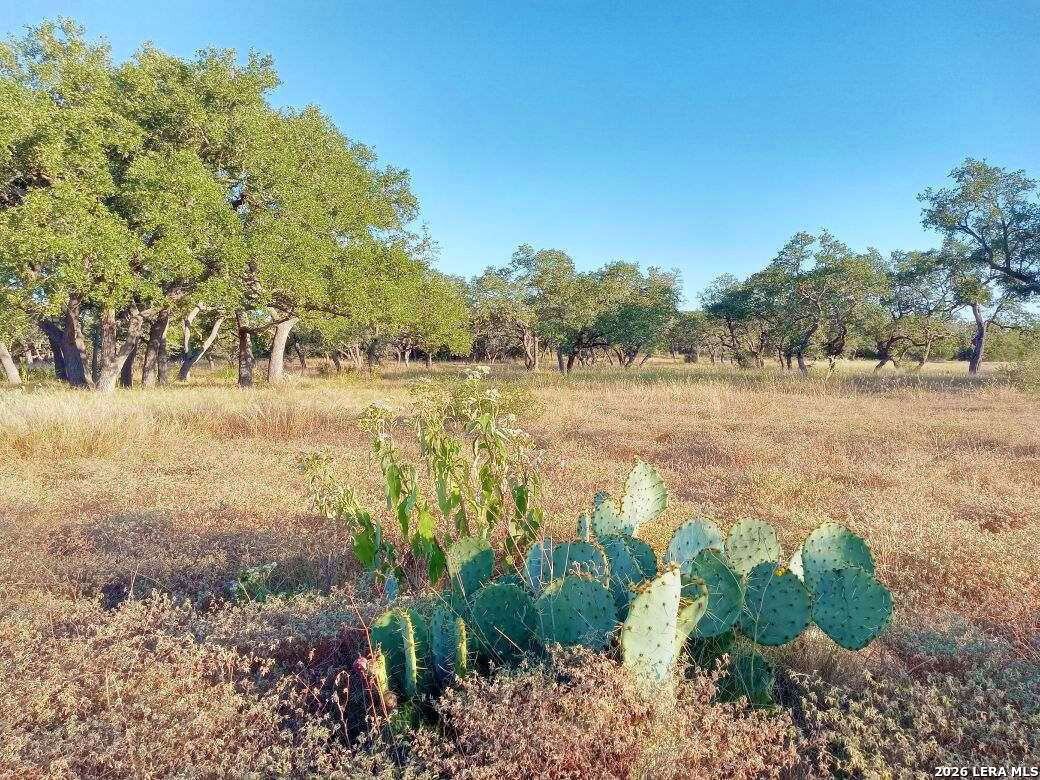 Lot 142 Mulder Drive Center Point TX 78010