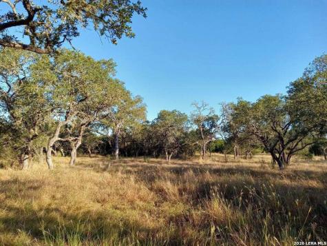 Lot 142 Mulder Drive Center Point TX 78010
