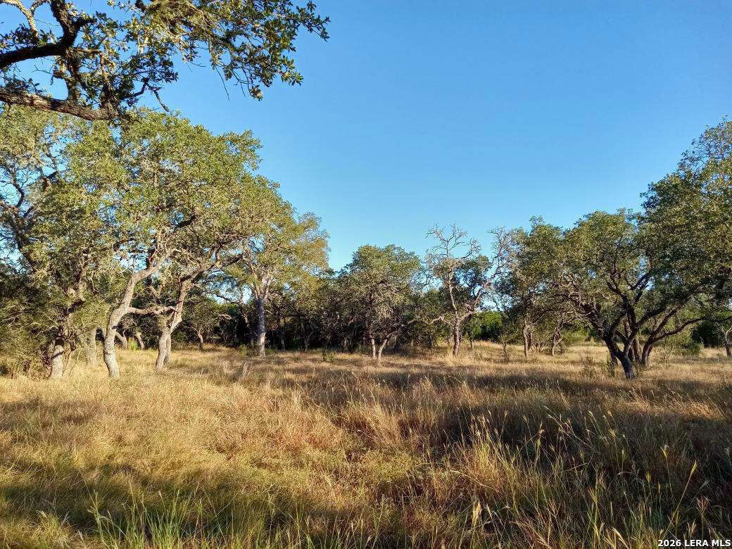 Lot 142 Mulder Drive Center Point TX 78010