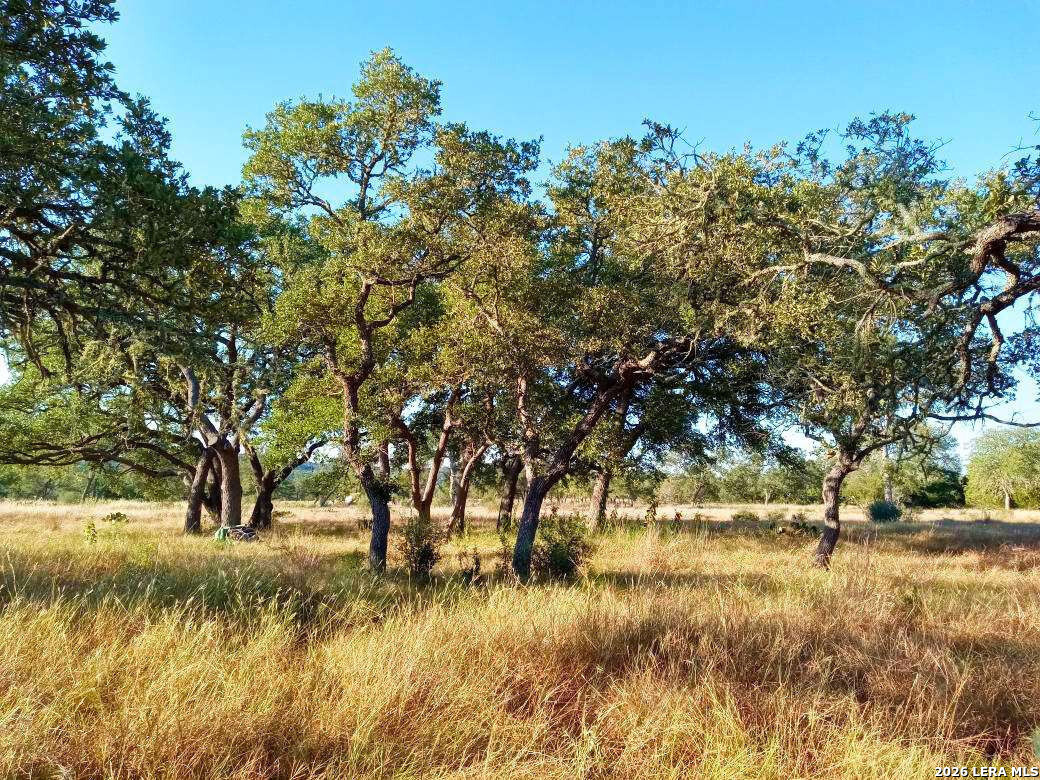 Lot 142 Mulder Drive Center Point TX 78010