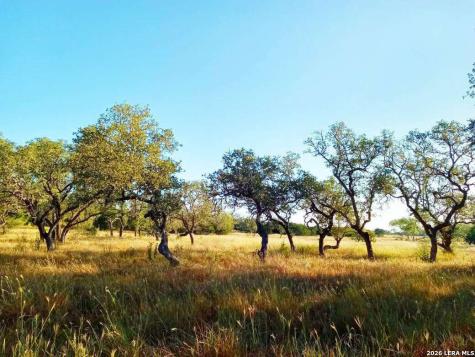 Lot 142 Mulder Drive Center Point TX 78010