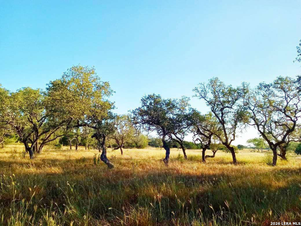 Lot 142 Mulder Drive Center Point TX 78010