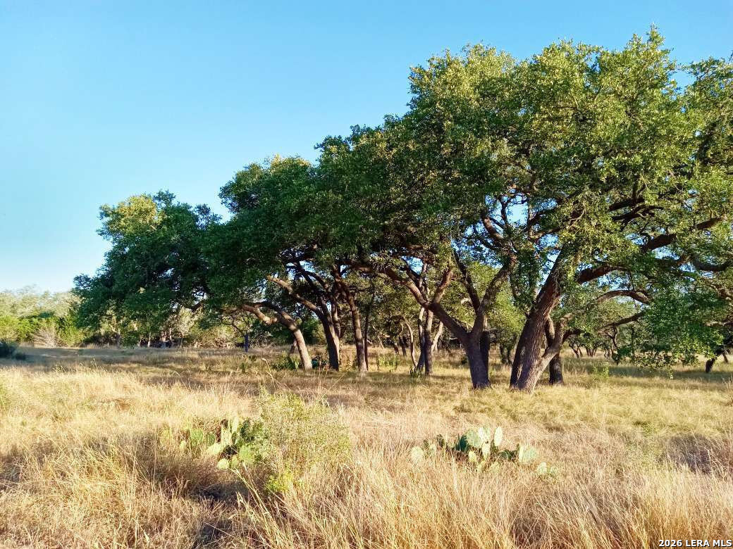Lot 142 Mulder Drive Center Point TX 78010